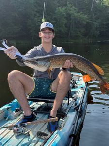 Northern Pike, 30-inch fish, fishing in NY