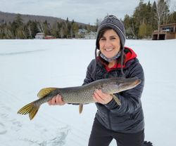 Large northern pike caught in Saranac Lake