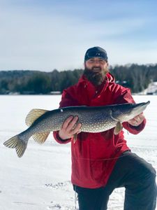 A Northern Pike measuring 34 inches caught in Saranac Lake while fishing.