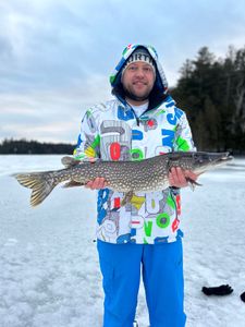 Northern Pike, 31 inch fish caught in Saranac Lake