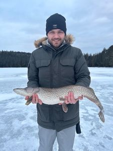 Northern Pike, a 23-inch fish, caught while fishing in Saranac Lake
