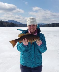 Smallmouth bass caught fishing in NY