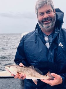 Redfish catch from fishing charter in Bagdad FL waters