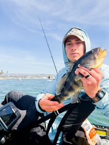 Angler holding freshly caught bass on fishing kayak in Bagdad FL waters