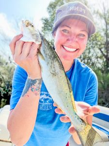 Speckled trout catch displayed during fishing trip in Bagdad FL