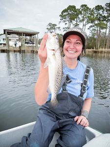 Speckled trout catch from fishing trip in Bagdad FL