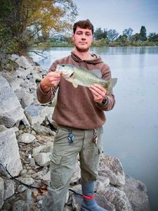 Spotted bass catch from Bagdad FL fishing trip