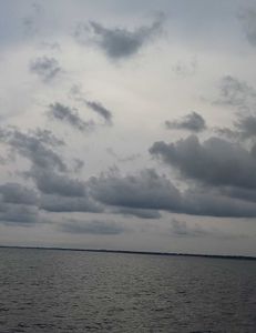 Scenic view of the water and landscape in Florida City