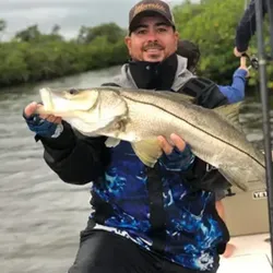 Snook fish caught in FL