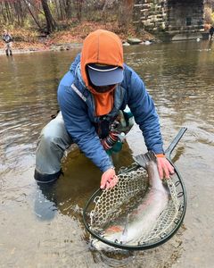 CatchOfTheDayLakeEriePA