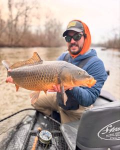 Carp fishing in Lake Erie, PA