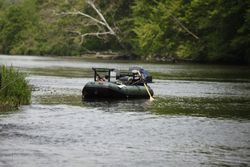 Streamer Fishing Pennsylvania 