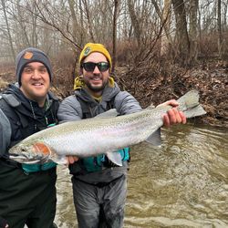 Steelhead Alley Fish Ohio 