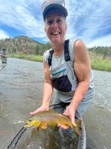 Colorado Trout Fishing What That Vise Do