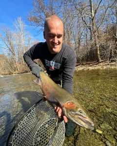 Lone angler fishing in PA