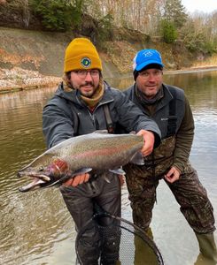 Steelhead Fly Fishing, Erie PA