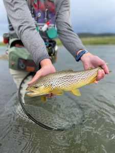 Angler with catch in Pennsylvania