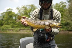 Single person fishing in PA