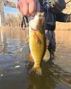 A fishing trip in PA
