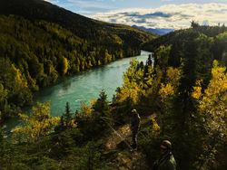 Kenai River, Alaska - What That Vise Do