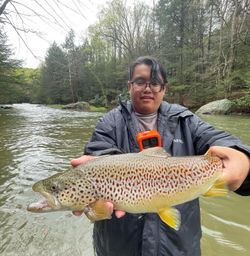 A fisherman holding a large sea trout in Pittsburgh
