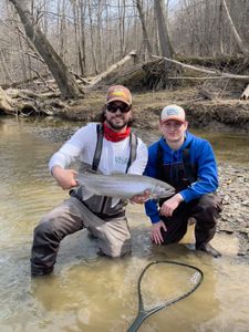 Photograph of a pink salmon caught while fishing in PA