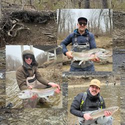 Pink salmon and rainbow trout fishing in PA