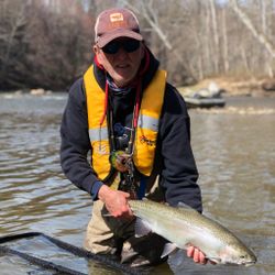 A single rainbow trout caught while fishing in PA