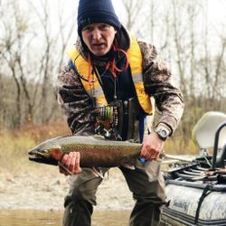 Photograph of a single rainbow trout caught while fishing in PA