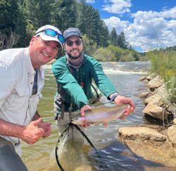 A single rainbow trout caught in PA