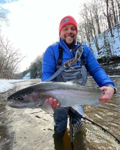 A single rainbow trout fish caught in Pittsburgh