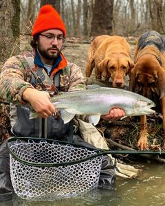 Image of a rainbow trout caught in Pittsburgh