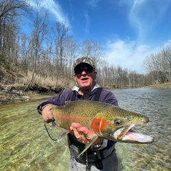 Majestic rainbow trout caught in Pittsburgh