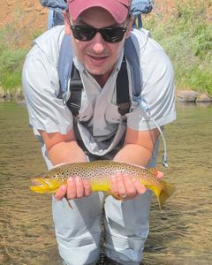 A single sea trout fish caught in PA