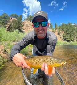 Fishing for sea trout in PA