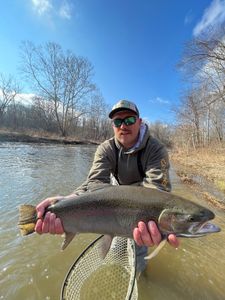 Trophy-sized rainbow trout caught in PA