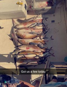 Two anglers fishing in Galveston, Texas