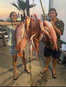 Three big fish caught on a fishing tour in Galveston