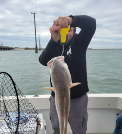 Fishing adventure in Galveston