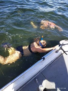 Snorkeling activity from boat in Brooksville FL waters with multiple swimmers in clear blue water