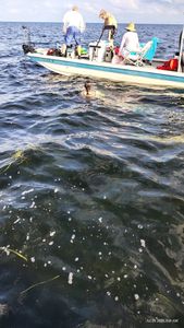 Fishing boat on water with jellyfish visible in clear water near Brooksville FL