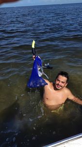 Snorkeling gear with fins and snorkel in clear water near Brooksville FL