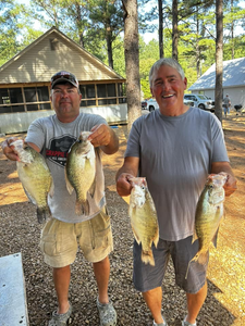 4 fish caught in MS during fishing trip