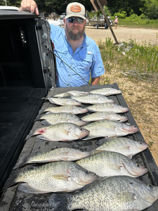 8 fish caught while fishing on the Mississippi River