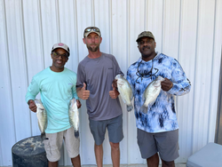 4 freshwater fish caught by 3 anglers in the Mississippi river