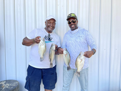 3 white crappie fish caught in MS