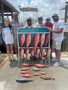 7 fish caught during fishing trip at Panama City Beach