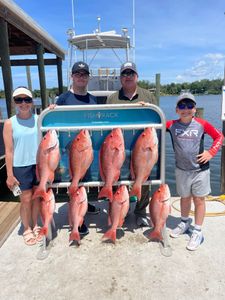 8 grey snapper fish caught on fishing trip in FL