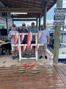 Sharing our catches today! Snapper and mahi-mahi