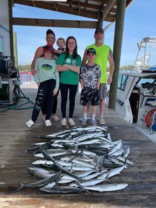 Caught a lot of Spanish Mackerel in PCB today!